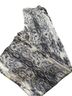 Vince Camuto Snake Print Black White Leggings Size 2 - photo 1