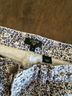 J.Crew Floral Multi Color Denim Shorts Size 2 - photo 3