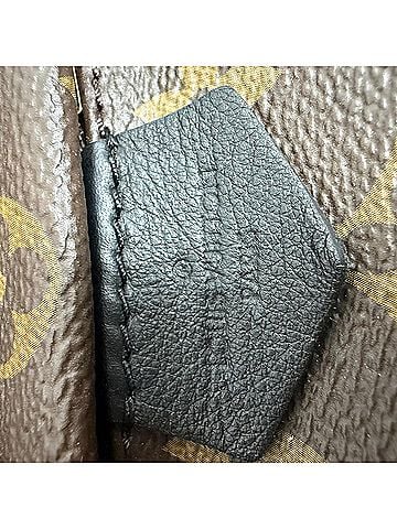 Louis Vuitton Louis Vuitton Monogram Palm Springs Mini Backpack Bag in Brown Canvas (view 2)