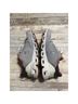 On Cloud Gray Orange Sneakers Size 11 - photo 6