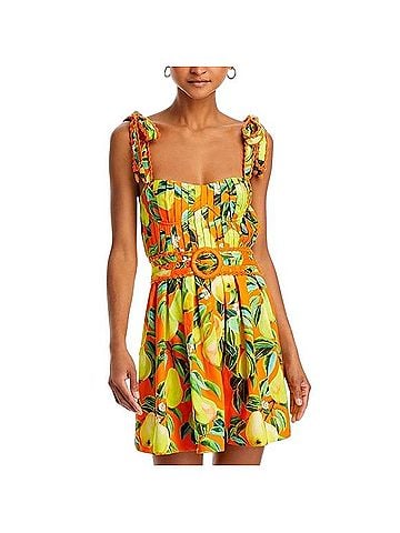 FARM Rio Chic Pears Casual Dress (view 1)