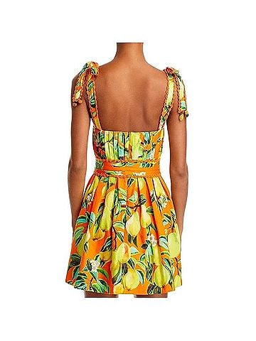 FARM Rio Chic Pears Casual Dress (view 2)