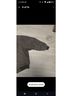 Walls Gray Jacket Size XL - photo 5