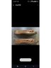 Candie's Tan Sandals Size 7 - photo 5