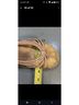 Candie's Tan Sandals Size 7 - photo 9