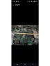 Golden Green Denim Jacket Size S - photo 8