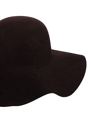 Dorfman Pacific Women's Wool Felt Big Brim Hat in Brown (view 2)
