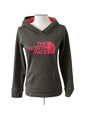 The North Face Pullover Hoodie (view 1)