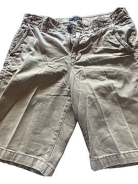 American Eagle Outfitters Cargo Shorts (view 1)