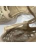 Stuart Weitzman 100% Leather Solid Gold Sandals Size 8 1/2 - photo 3