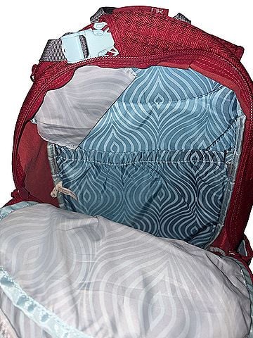 Dakine Backpack (view 2)