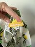 Trina Turk Shorts Size XS - photo 3