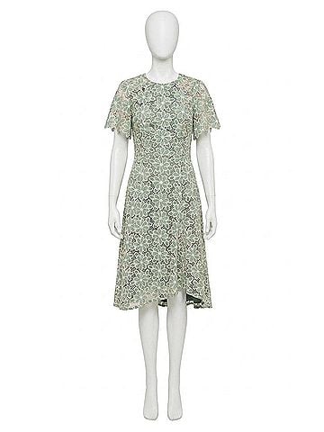 Maggy London Floral Lace Midi Dress in Green/Cream (view 1)
