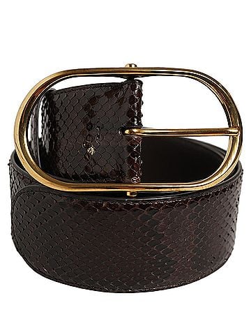 Dolce & Gabbana Brown Python Leather Gold Metal Buckle Women's Belt (view 1)