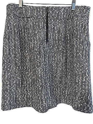 Ann Taylor Skort (view 2)