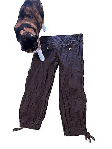 Express Cargo Pants (view 2)