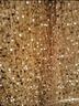 Shein 100% Polyester Solid Gold Cocktail Dress Size XL - photo 8