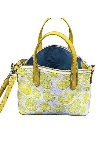 Dooney & Bourke Limone Ruby Mini Crossbody Satchel Crossbody Bag (view 2)