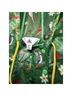 Disney Graphic Green Trenchcoat Size XS - photo 7