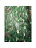 Disney Graphic Green Trenchcoat Size XS - photo 11