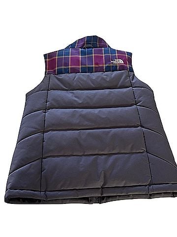 The North Face 550 Vest (view 2)