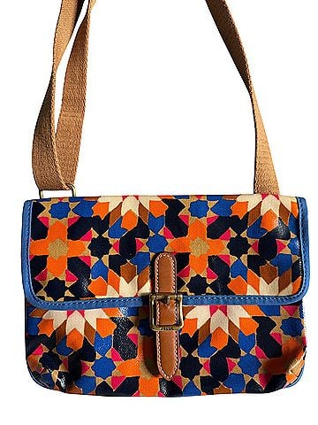 Fossil Crossbody Bag (view 2)