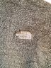 The North Face 100% Fleece Green Jacket Size M - photo 6