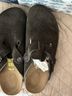 Birkenstock Brown Mule/Clog Size EU 40 - photo 6