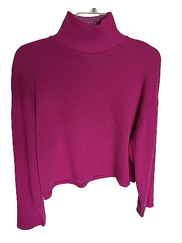 Zara Turtleneck Sweater (view 1)