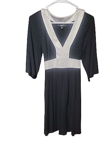 Express Cocktail Dress (view 2)
