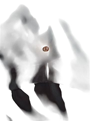 Lululemon Athletica Jacket (view 2)