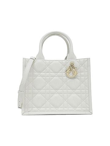 Christian Dior Christian Dior Book Tote Small M1325OWHP Handbag (view 1)