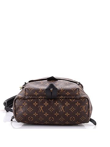 Louis Vuitton Palm Springs Backpack Monogram Canvas MM (view 2)