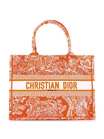 Christian Dior Book Tote Embroidered Canvas Medium (view 1)