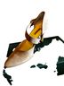Paul Green Brown Heels Size EU 39 - photo 2