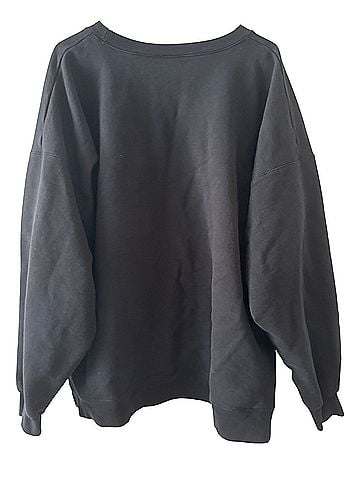 Hanes Sweatshirt (view 2)
