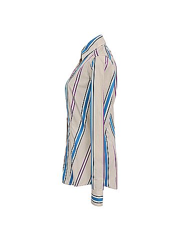 ETRO Etro Striped Button Down Shirt in Multicolor Cotton (view 2)