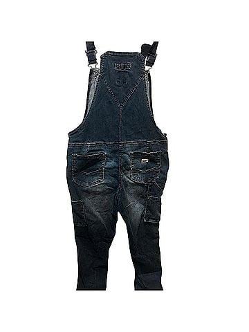 Berne Bib Overalls (view 2)