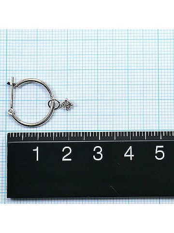 Unbranded PT900 Platinum Earrings with Diamonds (No carat markings), Total Weight 1.3g, Jewelry (view 2)