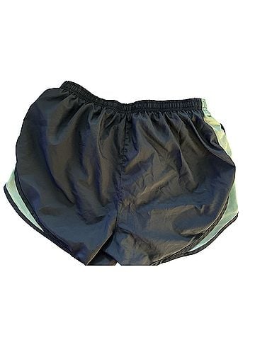 Nike Athletic Shorts (view 2)