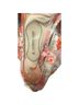 Cupshe Floral Pink One Piece Swimsuit Size M - photo 6