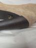 Colin Stuart Tan Boots Size 8 - photo 5