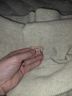 Eberjey Tan Sweatpants Size XL - photo 4