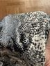 JM Collection Snake Print White Black Silver Long Sleeve T-Shirt Size L - photo 5