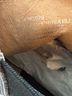 Madewell 100% Leather Brown Boots Size 9 1/2 - photo 8