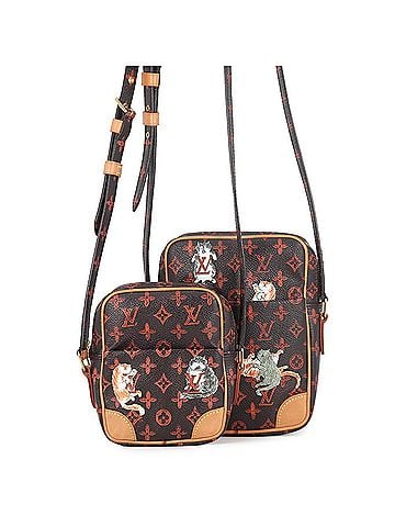 Louis Vuitton Louis Vuitton Shoulder Bag Monogram Catgram Transformed Panam Set M44399 LOUIS VUITTON Handbag Women's (view 1)