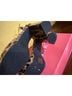 Allegra K Animal Print Multi Color Heels Size 9 - photo 5