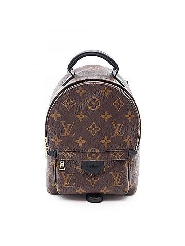 Louis Vuitton Louis Vuitton Palm Springs Backpack Mini Rucksack Handbag Coated Canvas Leather Monogram Women's Brown/Black M44873 (view 1)