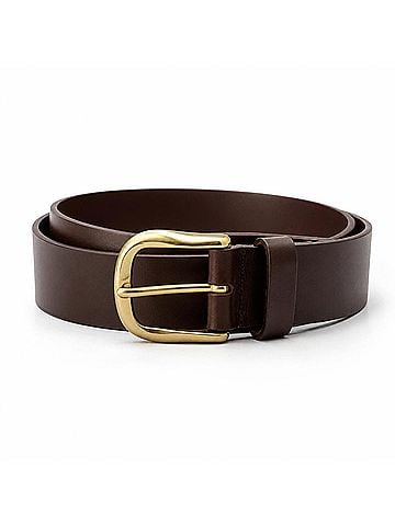 Streets Ahead Women's Leather Gold Buckle Belt in Brown (view 1)