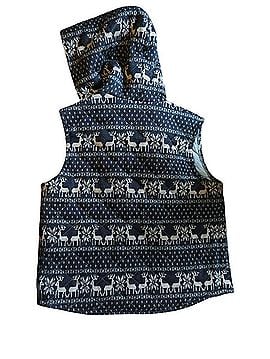Dragon Vest (view 2)
